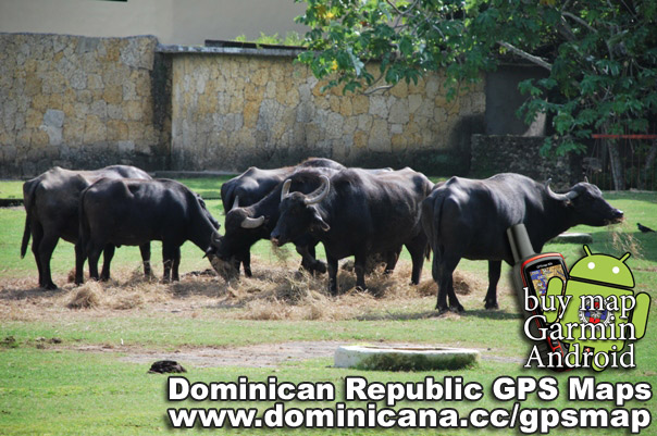 Dominican GPS