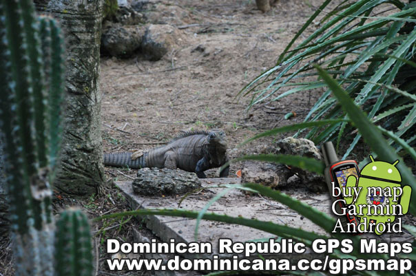 Dominican Republic GPS map
