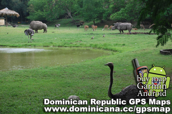 GPS Dominicana island