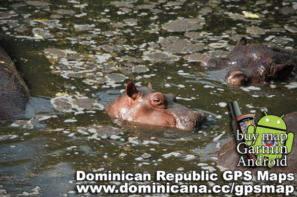 GPS of Dominican Republic, ready to install on youur Garmin and Android devices