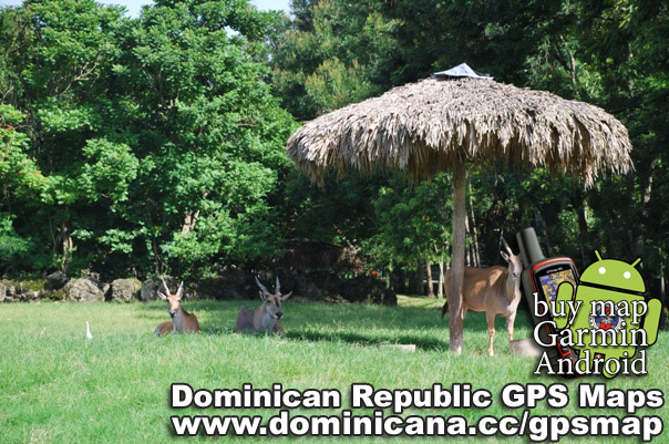 GPS of Republica Dominicana