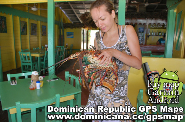 There are different dominican republic gpses